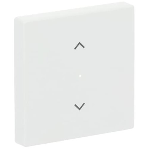 ABB Busch-Jaeger FaH bedieningswip 1v jaloezie f-matwit - 9paa00000273863 - 20090524