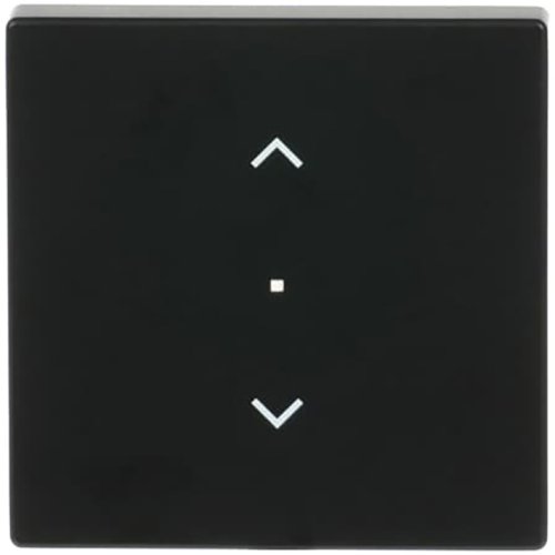 ABB Busch-Jaeger FaH bedieningswip 1v jaloezie f-matzwart - 9paa00000273881 - 20090541