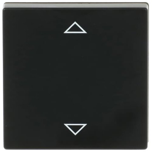 ABB Busch-Jaeger toets v jal contr sokkel f-matzwart - 9paa00000273913 - 20090761