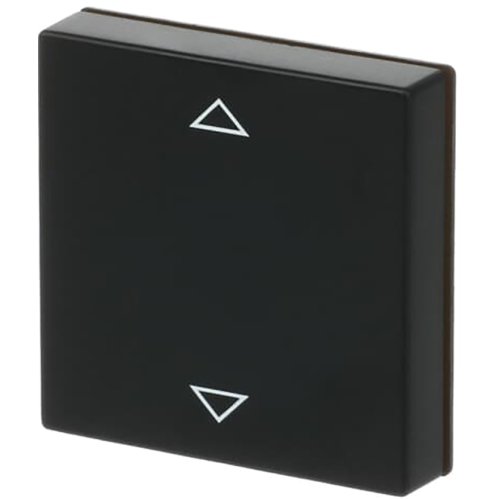 ABB Busch-Jaeger toets v jal contr sokkel f-matzwart - 9paa00000273914 - 20090761