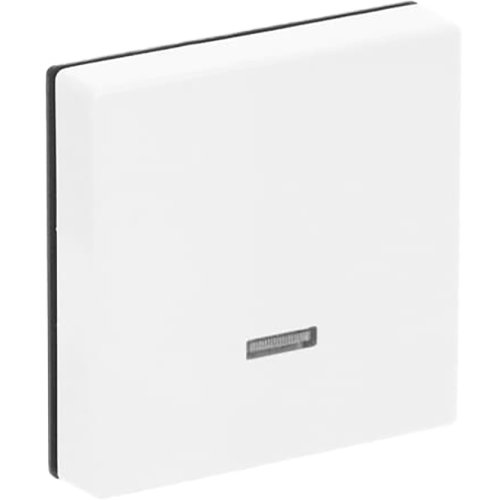 B&J toets voor tipdimmer studiowit 6543-84-101 - 9paa00000273931 - 3131906