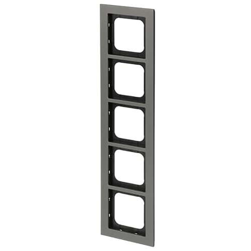 ABB Busch-Jaeger afdekraam 5v ax-platin - 9paa00000277892 - 20089638