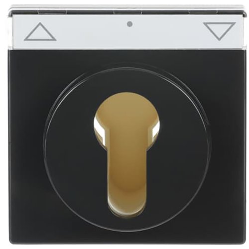 ABB Busch-Jaeger cpl slot f-antraciet - 9paa00000281508 - 20088356