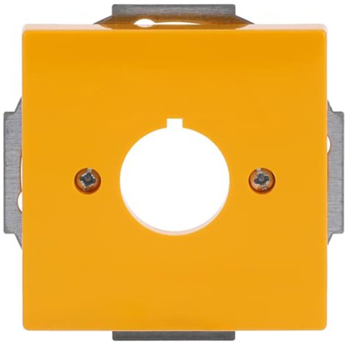 ABB Busch-Jaeger cpl boring 22.5mm geel future - 9paa00000281852 - 20088717