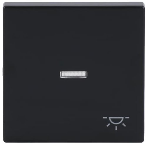 ABB Busch-Jaeger wip met lens v pulsdr licht f-antraciet - 9paa00000282042 - 20089037