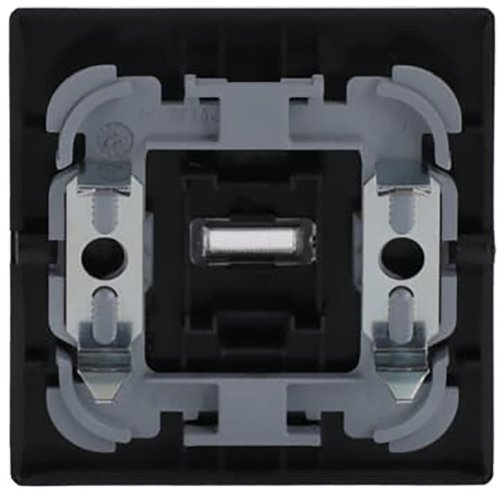 ABB Busch-Jaeger wip met lens v pulsdr licht f-antraciet - 9paa00000282045 - 20089037