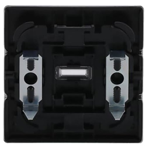 ABB Busch-Jaeger wip met lens v pulsdr licht pure-rvs - 9paa00000282075 - 20089051