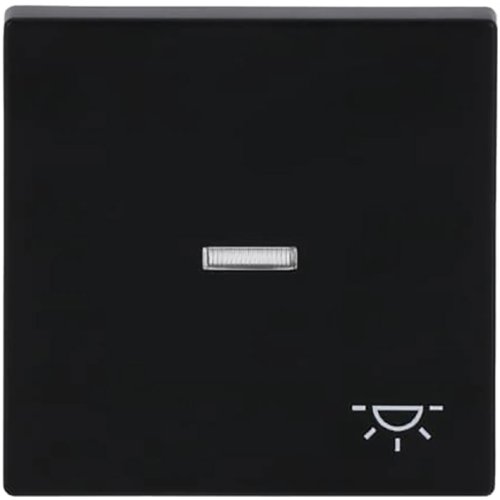 ABB Busch-Jaeger wip met lens v pulsdr licht f-matzwart - 9paa00000282142 - 20089082