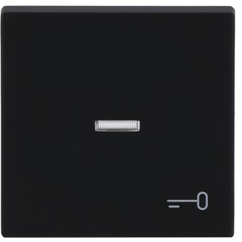 ABB Busch-Jaeger wip met lens v pulsdr key f-matzwart - 9paa00000282147 - 20089083