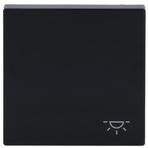 ABB Busch-Jaeger wip v pulsdr lichtsymbool f-antraciet - 9paa00000282252 - 20089119