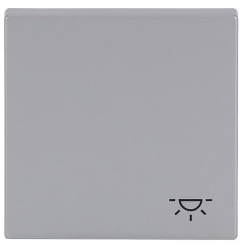 ABB Busch-Jaeger wip v pulsdr lichtsymbool f-aluzilver - 9paa00000282257 - 20089121
