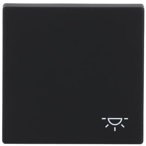 ABB Busch-Jaeger wip v pulsdr lichtsymbool f-matzwart - 9paa00000282272 - 20089125
