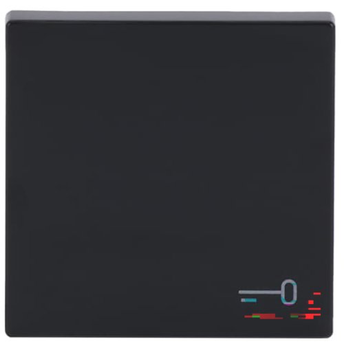 ABB Busch-Jaeger wip v pulsdr sleutelsymbool f-antraciet - 9paa00000282277 - 20089126
