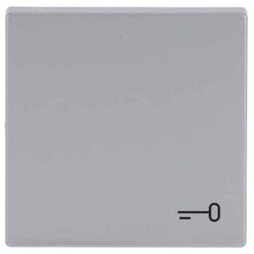 ABB Busch-Jaeger wip v pulsdr sleutelsymbool f-aluzilver - 9paa00000282282 - 20089128