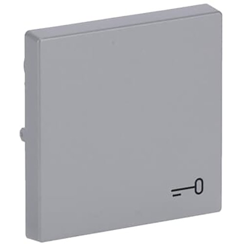 ABB Busch-Jaeger wip v pulsdr sleutelsymbool f-aluzilver - 9paa00000282284 - 20089128