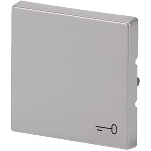 ABB Busch-Jaeger wip v pulsdr sleutelsymbool pure-rvs - 9paa00000282288 - 20089130