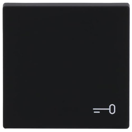 ABB Busch-Jaeger wip v pulsdr sleutelsymbool f-matzwart - 9paa00000282297 - 20089132