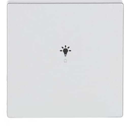 ABB Busch-Jaeger FaH bedieningswip 1-v licht f-aluzilver - 9paa00000283226 - 20090390