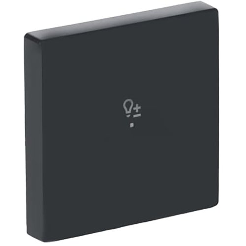 ABB Busch-Jaeger FaH bedieningswip 1-v dimmer f-antraciet - 9paa00000283243 - 20090398