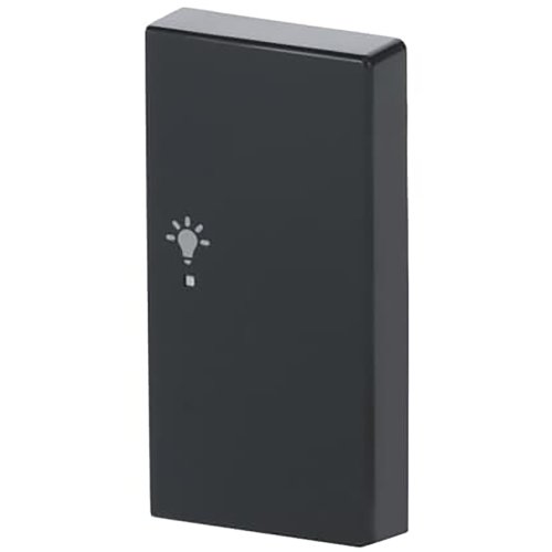 ABB Busch-Jaeger FaH bedieningswip rechts 2-v licht f-ant - 9paa00000283272 - 20090416