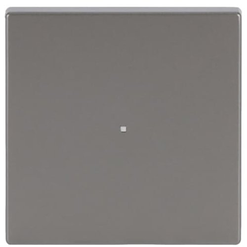 ABB Busch-Jaeger FaH bedieningswip 1v pure-rvs - 9paa00000283389 - 20090505