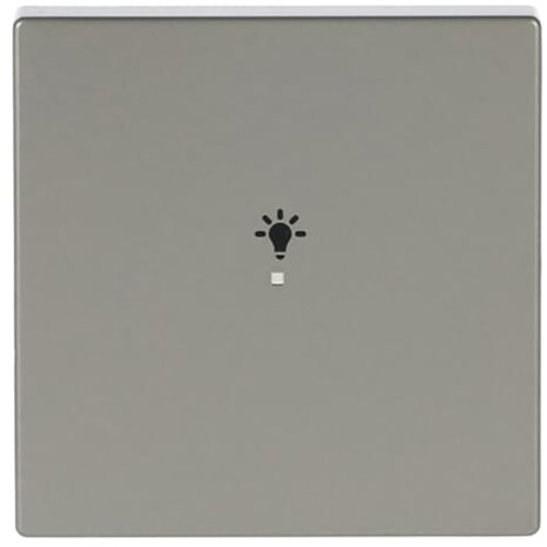 ABB Busch-Jaeger FaH bedieningswip 1v licht pure-rvs - 9paa00000283394 - 20090506