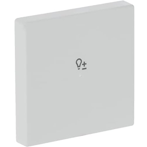 ABB Busch-Jaeger FaH bedieningswip 1v dimmer f-matwit - 9paa00000283463 - 20090526