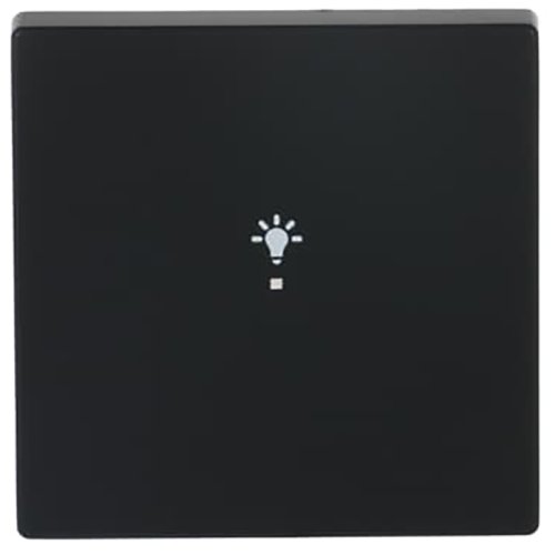 ABB Busch-Jaeger FaH bedieningswip 1v licht f-matzwart - 9paa00000283514 - 20090540