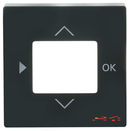 B&J centraalplaat voor timer 6455/56 antraciet 6435-81 - 9paa00000283732 - 3030139