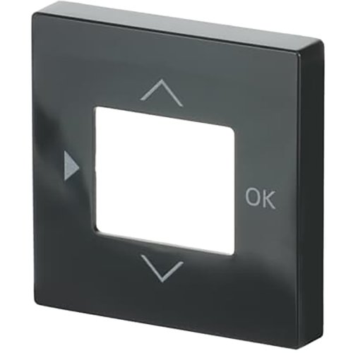 B&J centraalplaat voor timer 6455/56 antraciet 6435-81 - 9paa00000283733 - 3030139