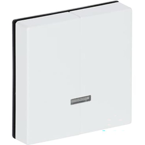 ABB Busch-Jaeger toets v seriedimmer 6565U s-s.wit - 9paa00000283805 - 20090832