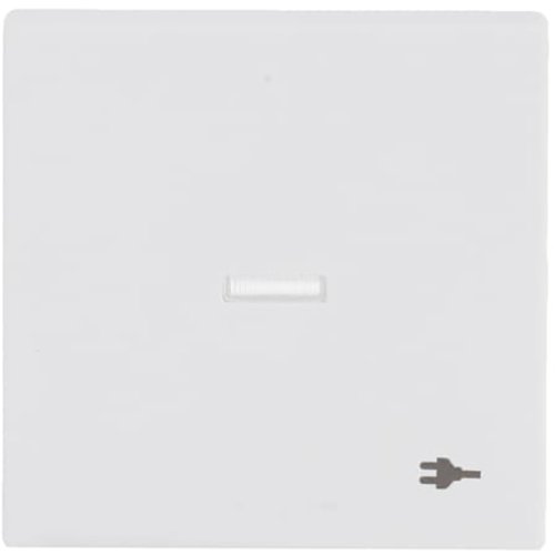 ABB Busch-Jaeger wip v wis contr wcdsymbool f-matwit - 9paa00000286881 - 20089109