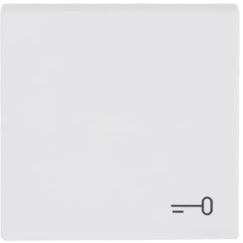 ABB Busch-Jaeger wip v pulsdr sleutelsymbool f-matwit - 9paa00000286893 - 20089131