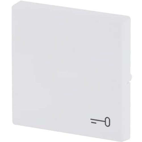 ABB Busch-Jaeger wip v pulsdr sleutelsymbool f-matwit - 9paa00000286894 - 20089131