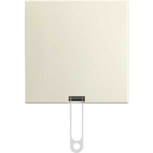 ABB Busch-Jaeger trekschakelaar opb b-AP wit - 9paa00000287110 - 20091207