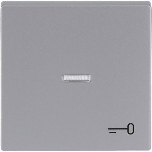 ABB Busch-Jaeger wip met lens v pulsdr key f-aluzilver - 9paa00000299462 - 20089047