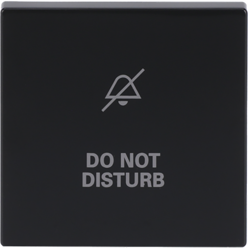 ABB Busch-Jaeger wip v wis(2P) disturb f-antraciet - 9paa00000299487 - 20089134