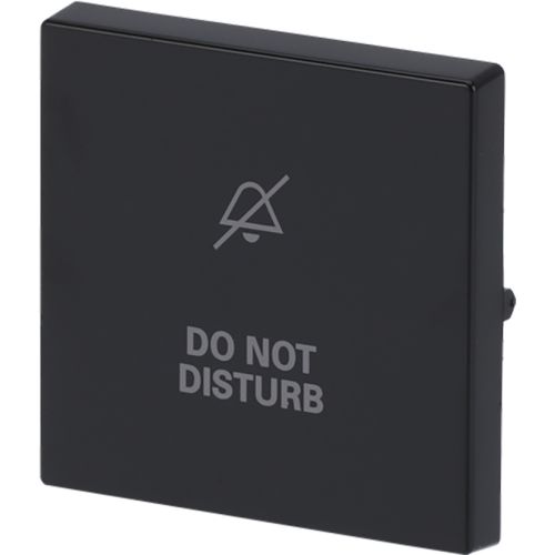 ABB Busch-Jaeger wip v wis(2P) disturb f-antraciet - 9paa00000299488 - 20089134