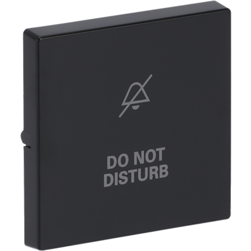 ABB Busch-Jaeger wip v wis(2P) disturb f-antraciet - 9paa00000299489 - 20089134