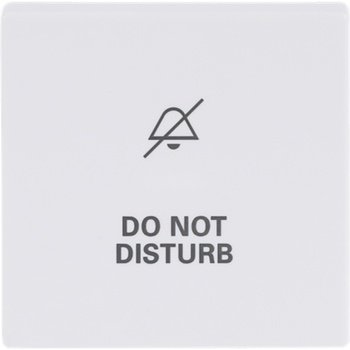 ABB Busch-Jaeger wip v wis(2P) disturb s-studiowit - 9paa00000315679 - 20089062