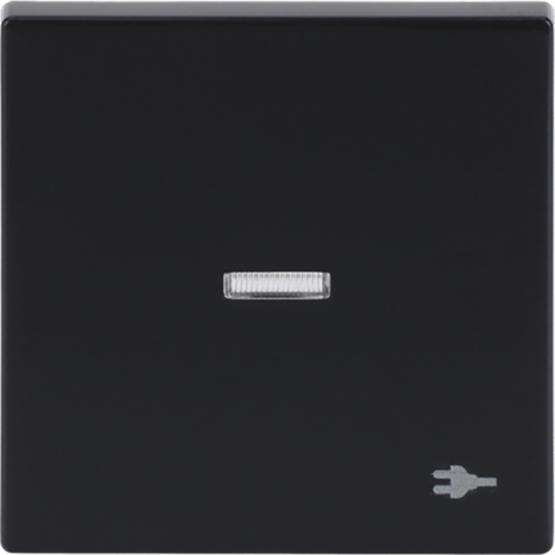 ABB Busch-Jaeger wip v wis contr wcdsymbool f-antraciet - 9paa00000315699 - 20089104