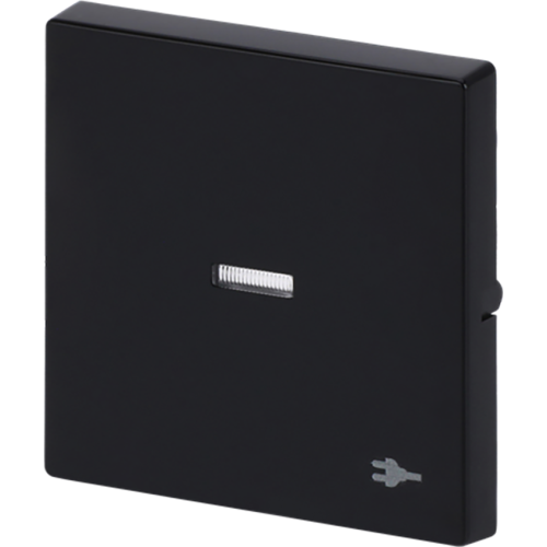 ABB Busch-Jaeger wip v wis contr wcdsymbool f-antraciet - 9paa00000315700 - 20089104