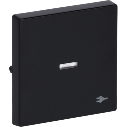 ABB Busch-Jaeger wip v wis contr wcdsymbool f-antraciet - 9paa00000315701 - 20089104