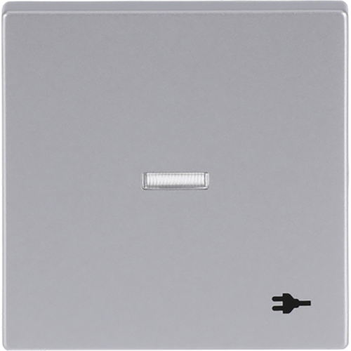 ABB Busch-Jaeger wip v wis contr wcdsymbool f-aluzilver - 9paa00000315709 - 20089106