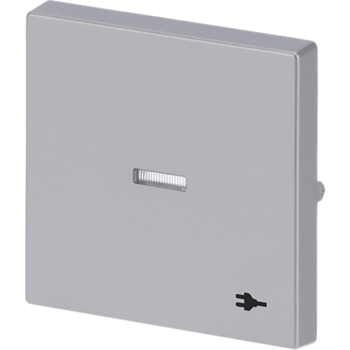 ABB Busch-Jaeger wip v wis contr wcdsymbool f-aluzilver - 9paa00000315710 - 20089106