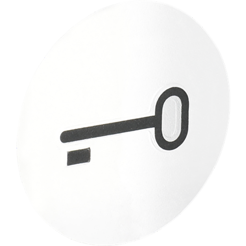 ABB Busch-Jaeger voelbaar transparant sleutelsymbool SI - 9paa00000319316 - 20088578