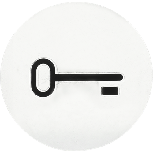 ABB Busch-Jaeger voelbaar transparant sleutelsymbool SI - 9paa00000319317 - 20088578