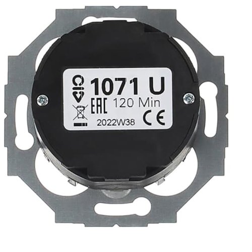 ABB Busch-Jaeger tijdschakelaar 2P 120min inb - 9paa00000320566 - 20088039