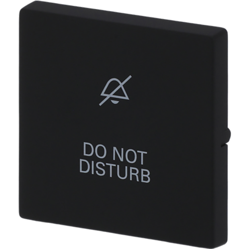 ABB Busch-Jaeger wip v wis(2P) disturb f-matzwart - 9paa00000321039 - 20089078