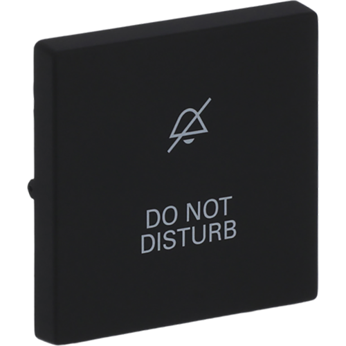 ABB Busch-Jaeger wip v wis(2P) disturb f-matzwart - 9paa00000321040 - 20089078